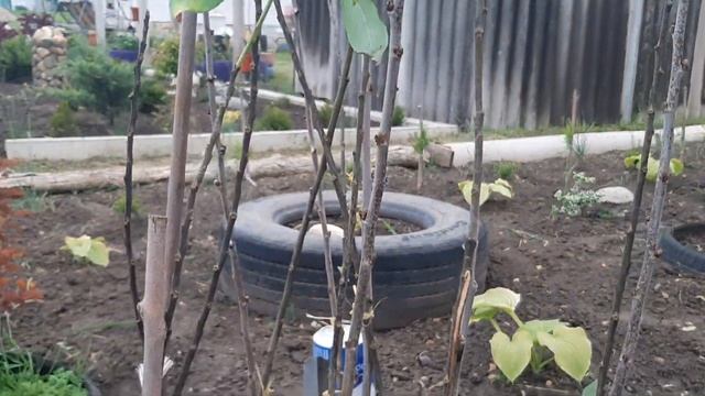 311.С миру по нитке.Хороший подарок ? от хороших людей. смотреть онлайн