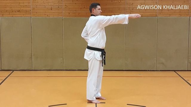 Agwison Khaljaebi Ausführung Taekwondo смотреть онлайн
