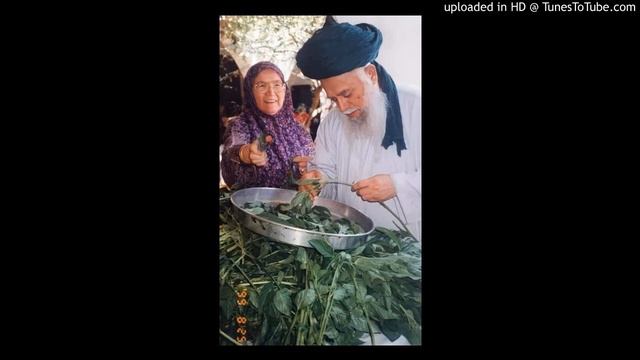 Hacı Emine Sultan - Delailül Hayratı okuyun смотреть онлайн