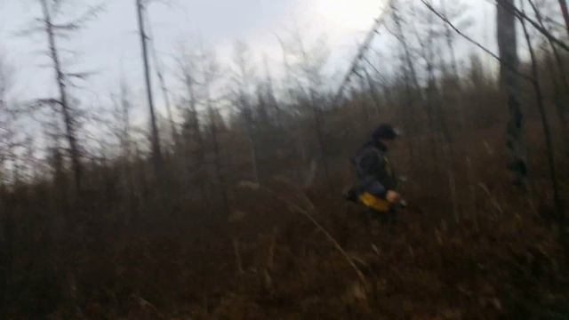 клуб OLGAGOL' : Большая прогулка октябрь 2017 смотреть онлайн