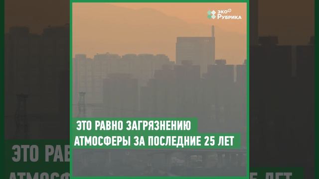 Миллион деревьев за 24 часа: как и зачем нужен экологический флешмоб смотреть онлайн