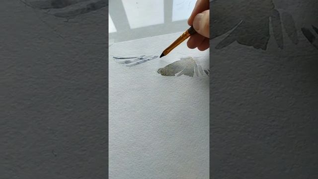 Чайка .Акварель. смотреть онлайн