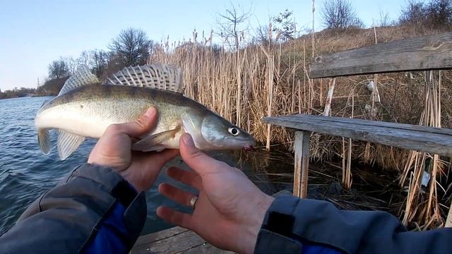 Рыбалка на спиннинг судака и карася весной на грушку. Судак и карась в апреле на джиг. блесна пуля смотреть онлайн
