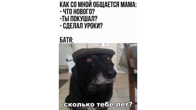 ПЕРЕЕЛ БЛИНОВ)) Приколы | Мемозг #500 смотреть онлайн