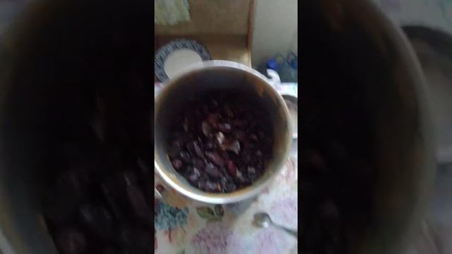 Мельница Biolomix для Шиповника смотреть онлайн