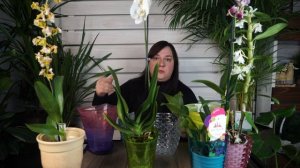 Как выбрать кашпо для орхидеи ? Горшки для орхидей ?