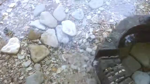 Чистая холодная вода! смотреть онлайн