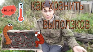 Как хранить выползков,Чем кормить, Что нужно делать, чтобы выползки не умирали, Сколько нужно грунта