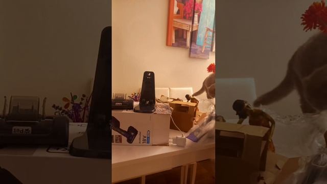 Black&Decker 18V Şarjlı Standart Girişli Pet Başlıklı El Süpürgesi смотреть онлайн