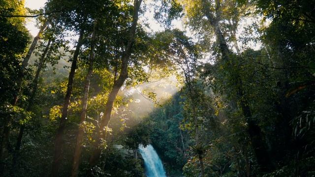 Один Час Этой Музыки - Подарит Тебе Исцеление | Медитация | Музыкальная Терапия смотреть онлайн