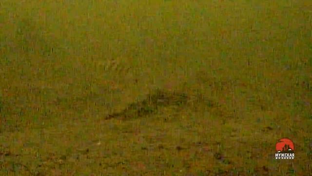 Ищем и ловим рыбу Реальный тест подводной камеры в экстремальных условиях смотреть онлайн