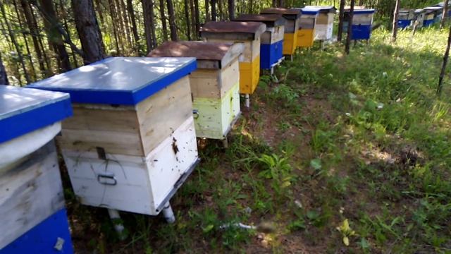 Кочёвка смотреть онлайн