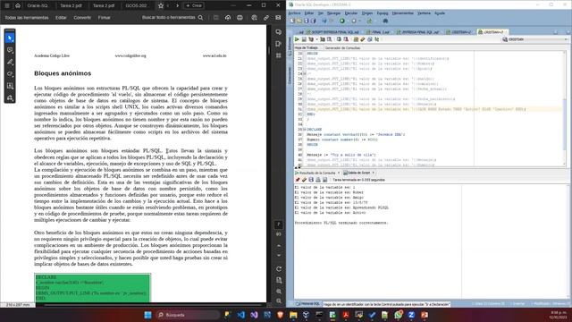 Oracle PLSQL - BLOQUES - ANONIMOS смотреть онлайн