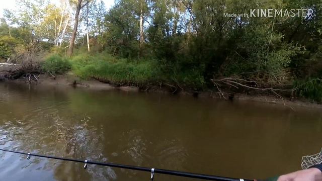 Сплав по р. Шегарка 17.08.2019 смотреть онлайн