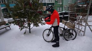 Грипсовицы