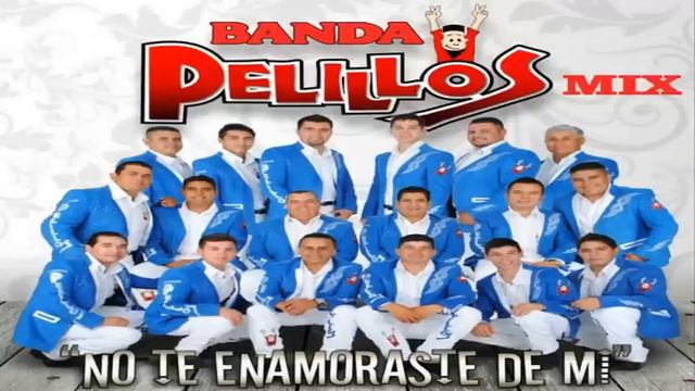 Banda Pelillos - Puros Exitos de Oro (Cumbias) смотреть онлайн