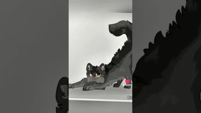 КЛИП кв :"РОМАШКИ" 🥰🥰🥰😻 смотреть онлайн