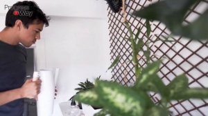 «Растут Как На Дрожжах» После Такой Подкормки. Дрожжи Для Комнатных Растений.