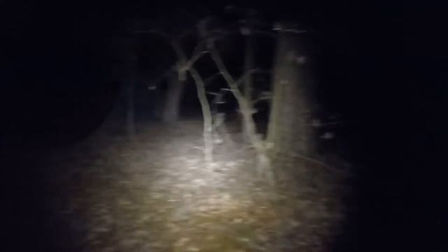 Тактический фонарь Armytek Viking Pro warm light замена фароискстелю?? смотреть онлайн