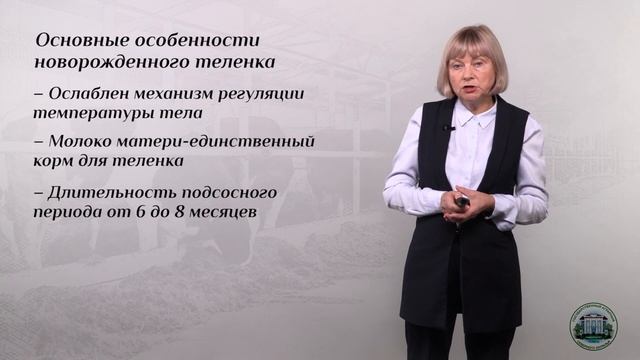 4 4 Выращивание молодняка по технологии «корова смотреть онлайн