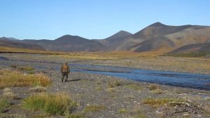 Канал Охота и рыбалка в Якутии Трофейная охота Ильи Борисова на Хараулахского горного барана 2019