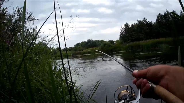 Снова Chubby SSR и проводка "петля". смотреть онлайн