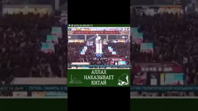 Вирус дар китай смотреть онлайн