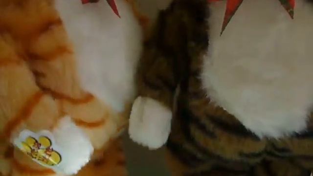 Поющий и танцующий кот смотреть онлайн
