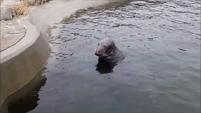 Отдых в Польше: Хель смотреть онлайн