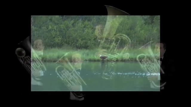 Wagner - Wedding March - Eagles and Romance смотреть онлайн