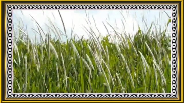 ＃010 PROSHOW PRODUCER Бесплатный весенний проект Пробуждение!2017 12 31 Untitled смотреть онлайн