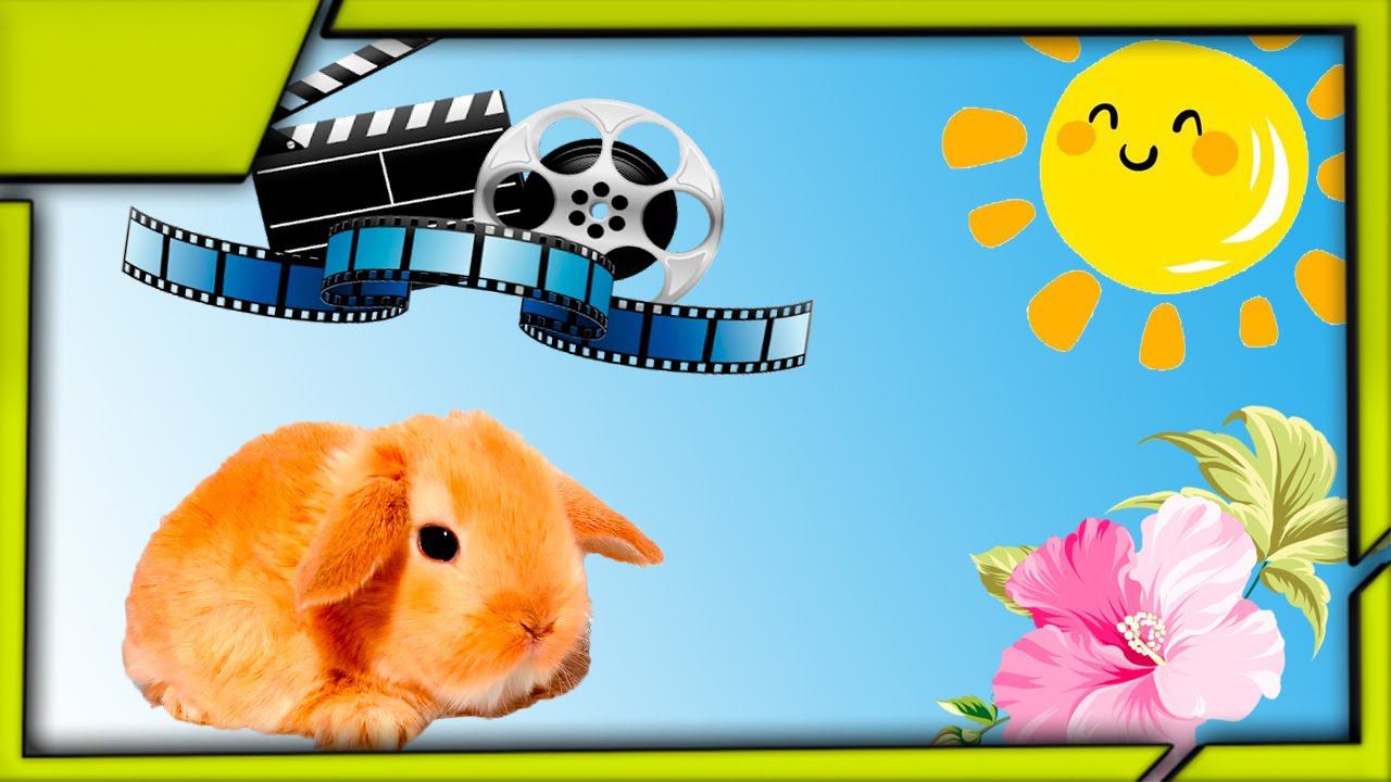 Подборка забавных декоративных кроликов № 1 (cute decorative rabbits)