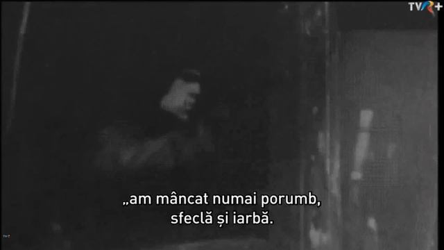 Heimat - Film Zur Geschichte Der Banater Schwaben