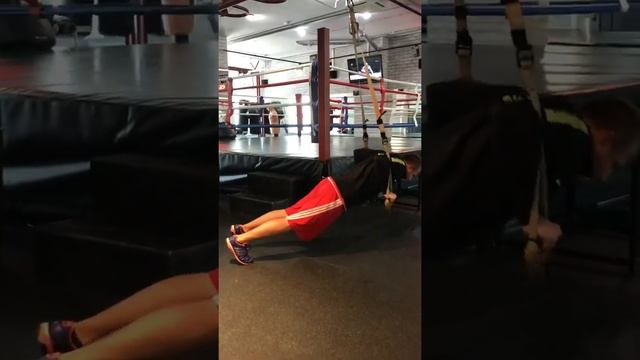 Комплекс с петлями TRX для бойцов разного направления