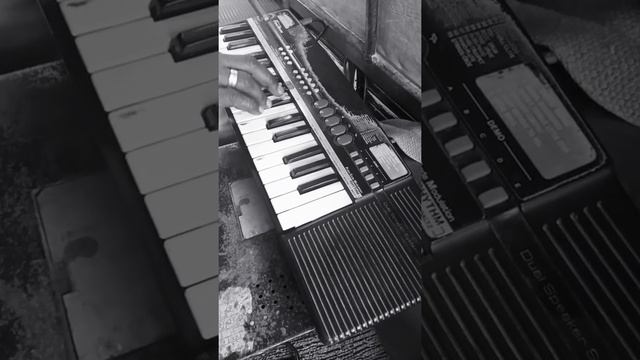 VILLAGE TYPE NAGIN SONG 😉😍 WITH FULL BANJO ,😘CASIO SA 47 ,1M смотреть онлайн