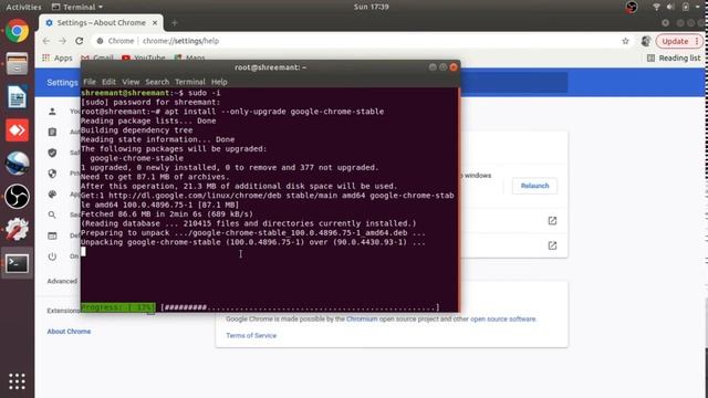 Upgrade Chrome in Linux | by one command only смотреть онлайн