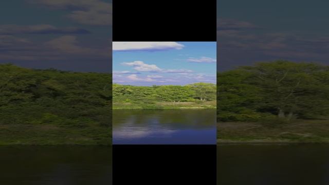 Воспоминания о лете смотреть онлайн