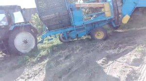 Уборка картофеля 2021. Комбайн Анна Z644