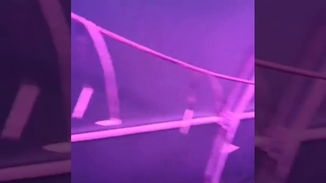 Био освещение смотреть онлайн