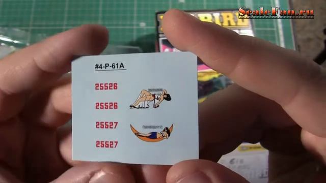 P-61 144 scale model BIG BIRD