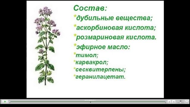 Душица обыкновенная Полезные свойства и противопоказания смотреть онлайн
