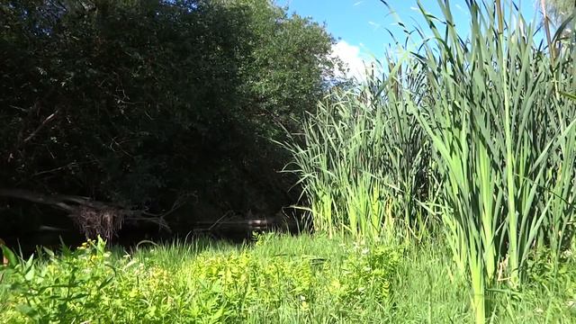 вода красота смотреть онлайн
