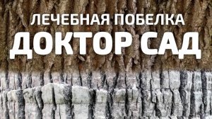 «Доктор САД». Инструкция по применению лечебной побелки