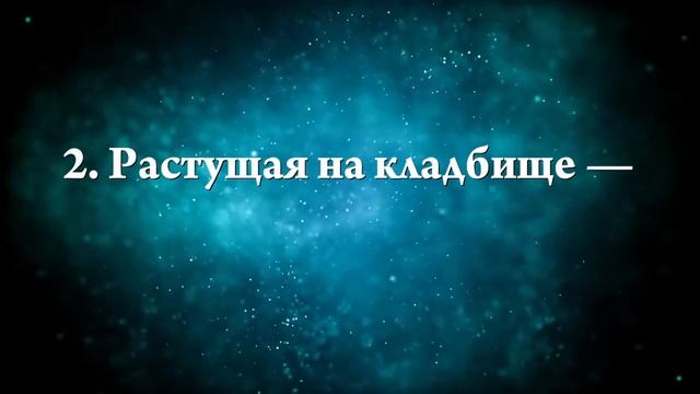 К чему снится береза - Онлайн Сонник Эксперт смотреть онлайн