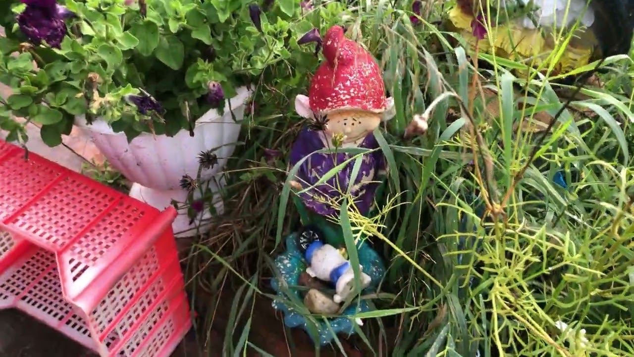 Белая Слуда 03-08 09 2022г ч3 смотреть онлайн