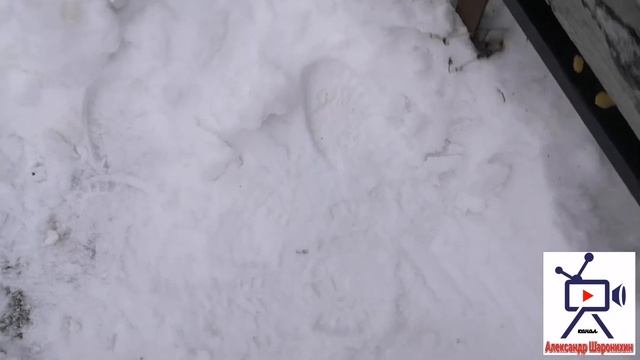 Кулинарная Фантазия