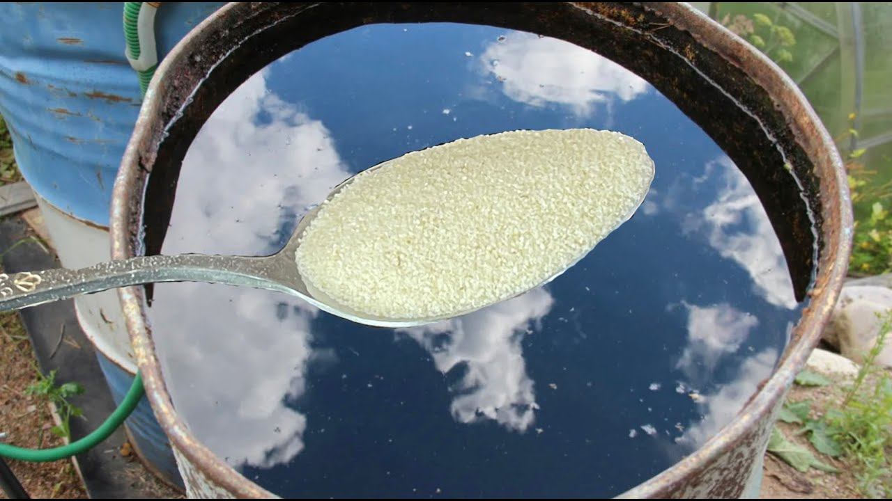 1 ложка на ведро воды и земля будет как новая, плодородная, урожайная. Проливаю этим землю осенью смотреть онлайн