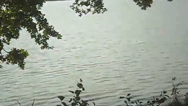 Жизнь в Германии. Moritzburg. Прогулка вокруг замка-1. смотреть онлайн