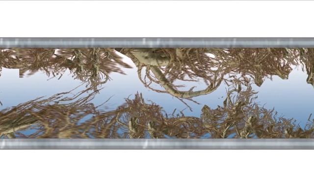 Биопрепарат Ликвазим для очистки  и устранения запахов из септиков и домашней канализации