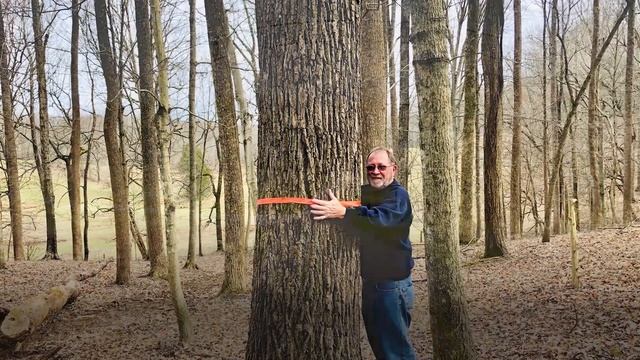 No Reserve LAKE CUMBERLAND LAND AUCTION Near 4-H Leadership Center and Multiple Boat Ramps смотреть онлайн